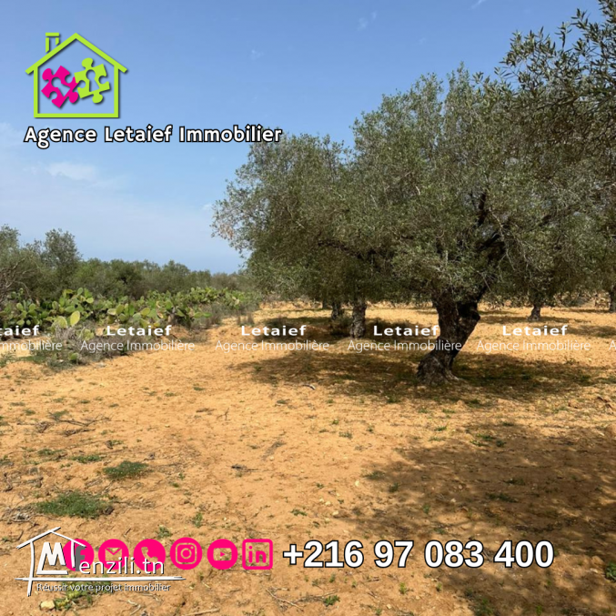 une ferme a Foukaia chat Meriem de 1738 m²