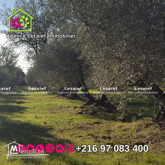 Terrain de 1016m² a Foukaia 85.000