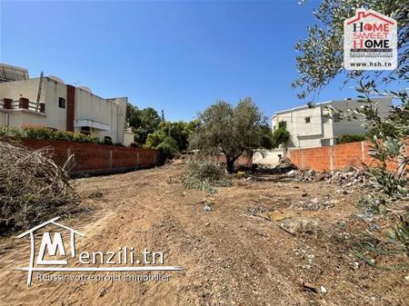 Terrain Promoteur Moulin à Vendre à La Soukra
