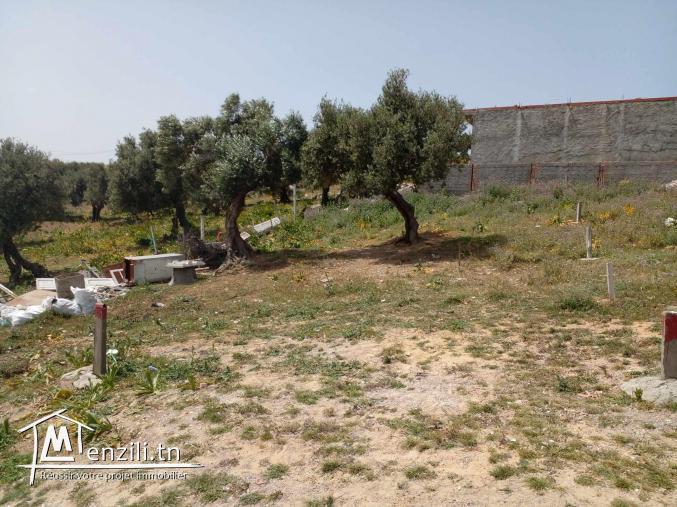 Terrain à vendre à Bizerte cité el weha