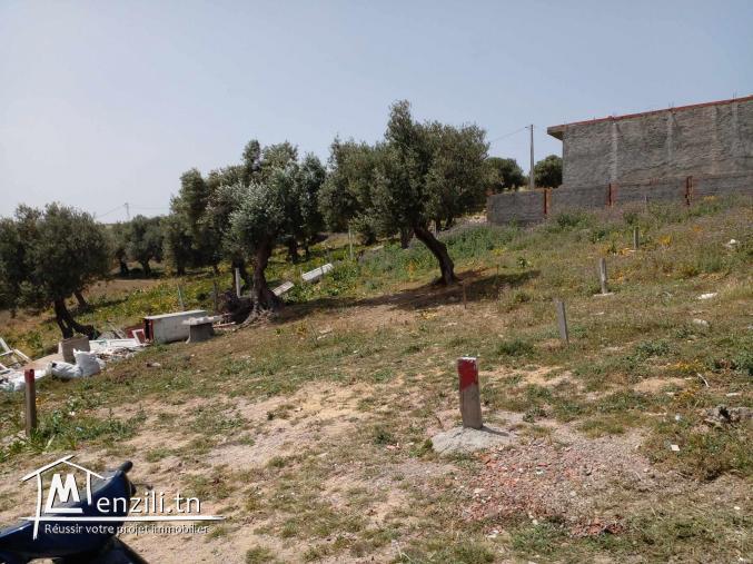 Terrain à vendre à Bizerte cité el weha