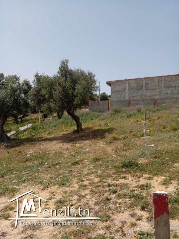 Terrain à vendre à Bizerte cité el weha