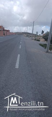 Terrain agricole 8000m² à Ain Safsaf