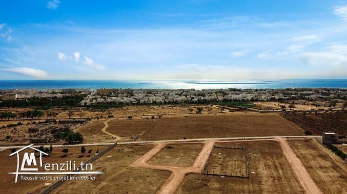 Des terrain a vendre a Hammamet