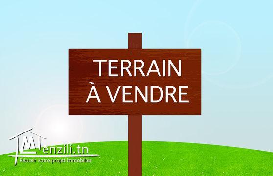 Terrain à bni nefaa