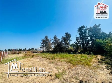 Terrain Promoteur Augustin à Vendre à La Soukra