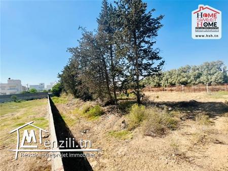 Terrain Promoteur Augustin à Vendre à La Soukra