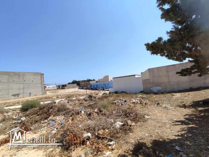 À vendre : Deux terrains à El Haouaria, à seulement 5 minutes à pied de la plage