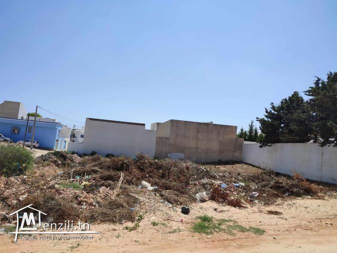 À vendre : Deux terrains à El Haouaria, à seulement 5 minutes à pied de la plage