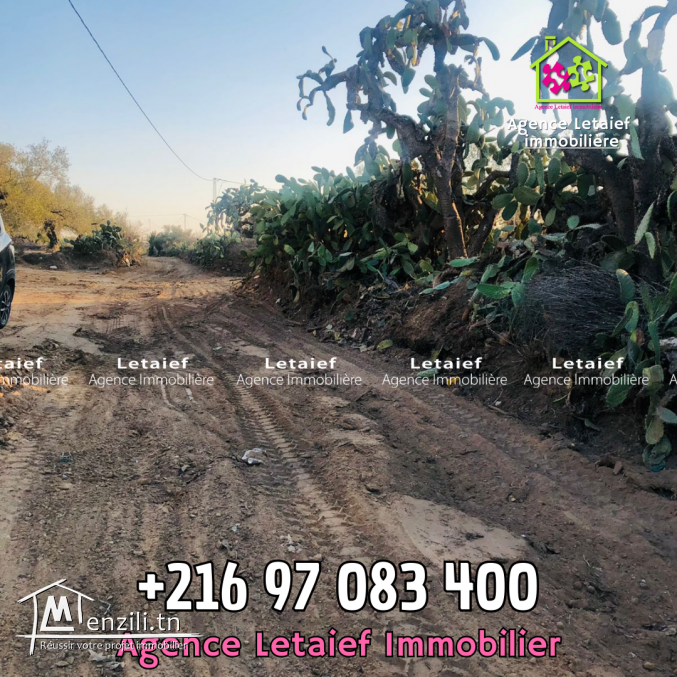 Terrain Agricole de 1300 m2 a Foukaia Chott meriem