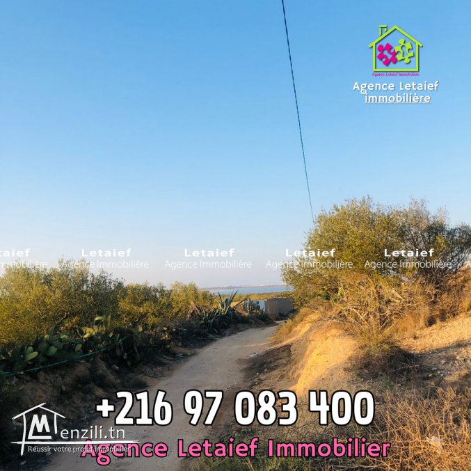 Terrain Agricole de 1300 m2 a Foukaia Chott meriem