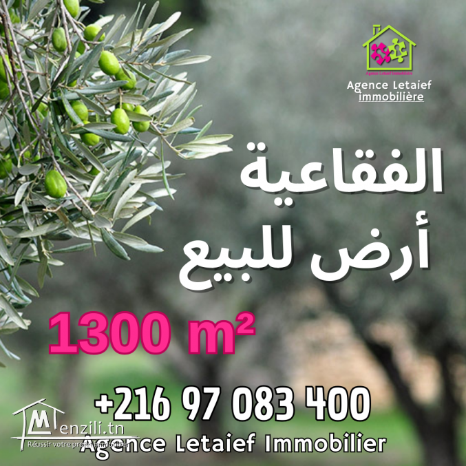 Terrain Agricole de 1300 m2  a Foukaia Chott meriem