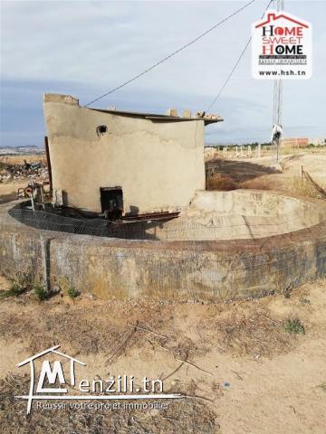 Terrain Agricole Jbeli à Vendre à Kef