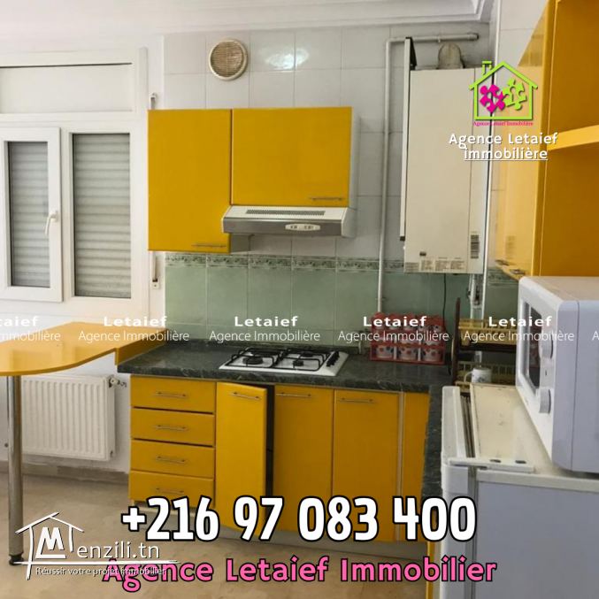 Appartement tout neuf  type S+1