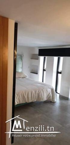 V147 Duplex GOLDEN 2 APP NORD