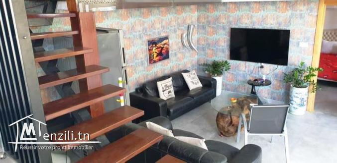 V147 Duplex GOLDEN 2 APP NORD