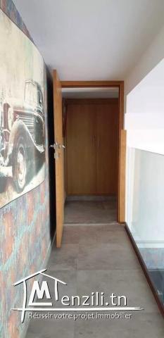 V147 Duplex GOLDEN 2 APP NORD