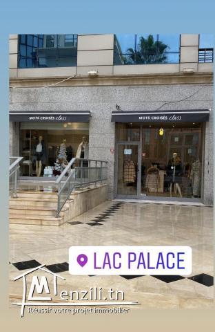 fond de commerce au carré du lac palace lac 1