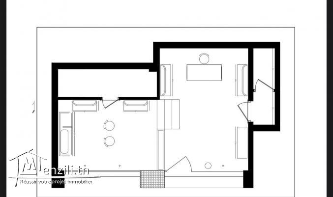 fond de commerce au carré du lac palace lac 1