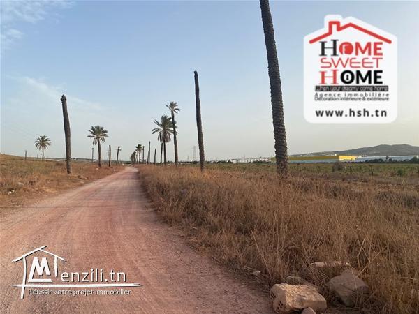 Terrain Promoteur Locah à Vendre à Cebalat Ben Ammar