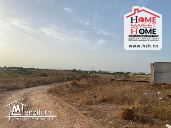 Terrain Promoteur Locah à Vendre à Cebalat Ben Ammar