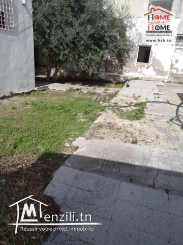 Terrain Moly à Vendre à Carthage El Yassmina