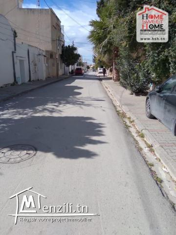 Terrain Moly à Vendre à Carthage El Yassmina