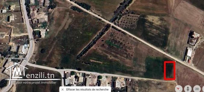 terrain a vendre a borj youssef