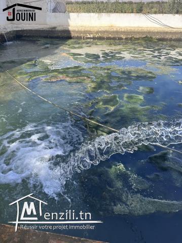 Ferme Productive 15 Hectares A Tebourba