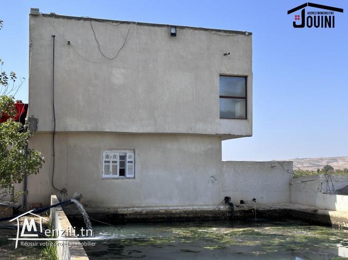 Ferme Productive 15 Hectares A Tebourba