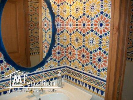 Beau triplex à Gammarth