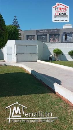 Terrain Promoteur Albert à Vendre à Chotrana 1