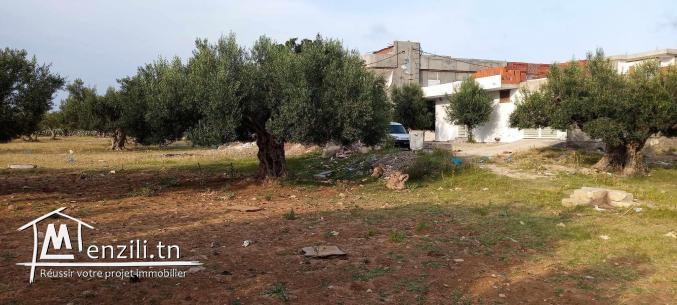 Terrain à vendre à Ksibet mediouni (508m²) --> A ne pas rater !