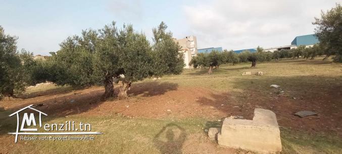 Terrain à vendre à Ksibet mediouni (508m²) --> A ne pas rater !