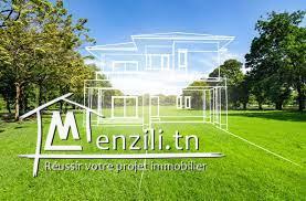 A vendre terrain  sur la route principale à beni ouel prés villa verdi