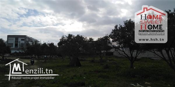 Terrain EL Yakouta à Vendre à La Soukra