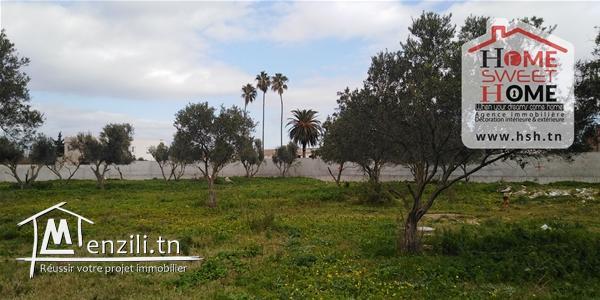 Terrain EL Yakouta à Vendre à La Soukra