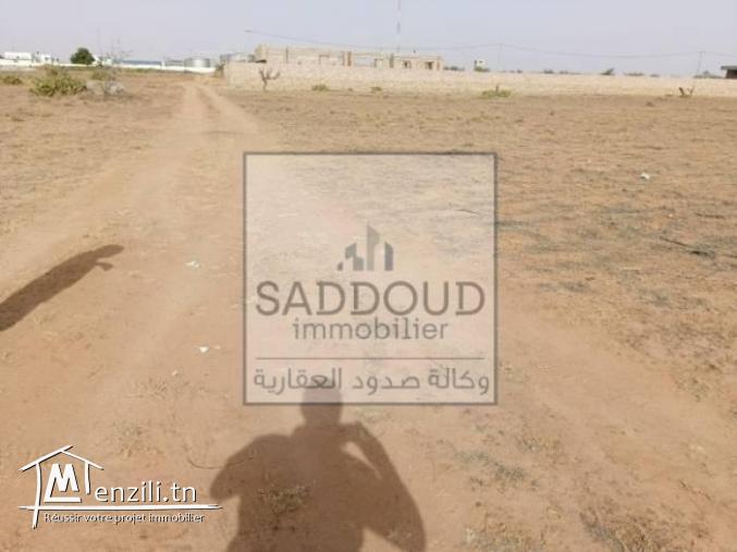 Terrain route  Menzel Chaker Km 8