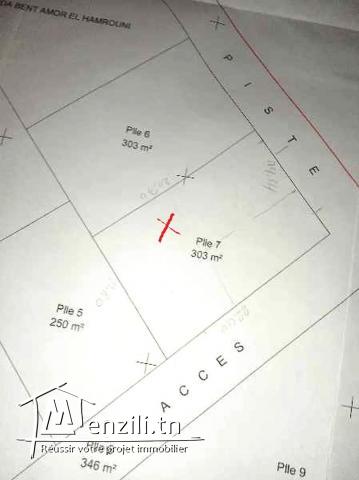 terrain 303m papier en règle