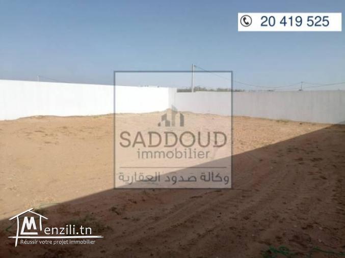 Terrain route  Menzel Chaker Km13.5