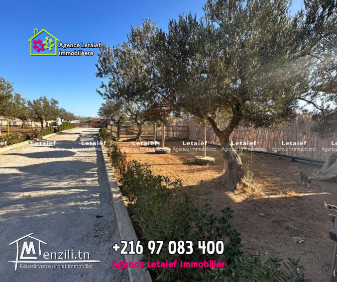 Petite Ferme à Vendre de 2158m² aHergla