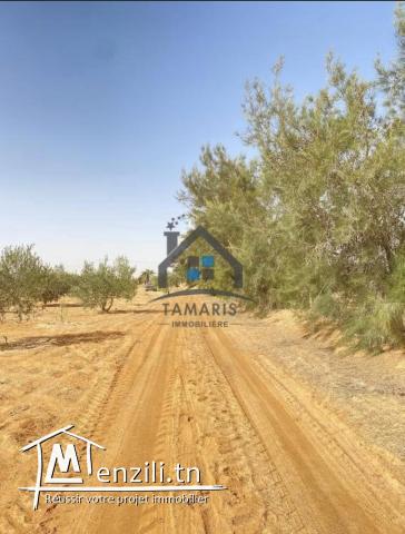 Une grande ferme à vendre