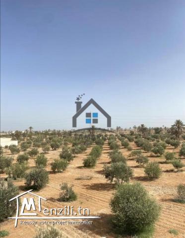 Une grande ferme à vendre