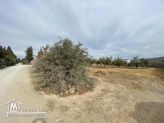 Terrain 2160m à Mornag