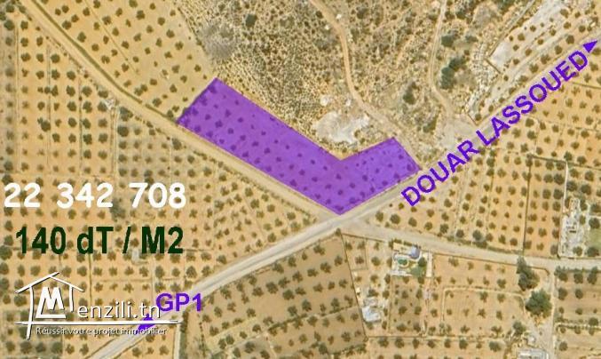 terrain une parcelle immatriculée titre individuel, 5000m²