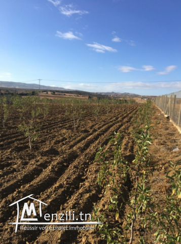 Terrain Morneg ksibi 60TDN>>m2