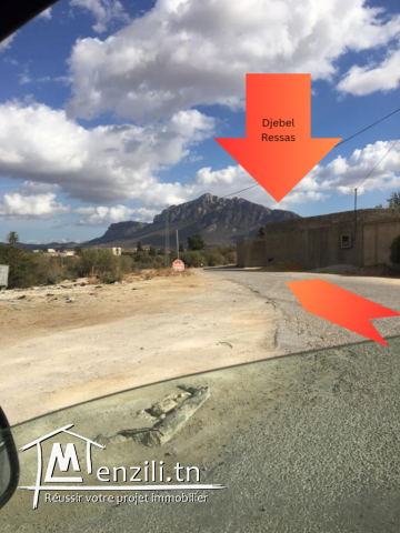 Terrain Morneg ksibi 60TDN>>m2