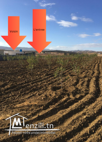 Terrain Morneg ksibi 60TDN>>m2