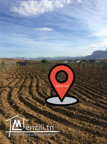 Terrain Morneg ksibi 60TDN>>m2