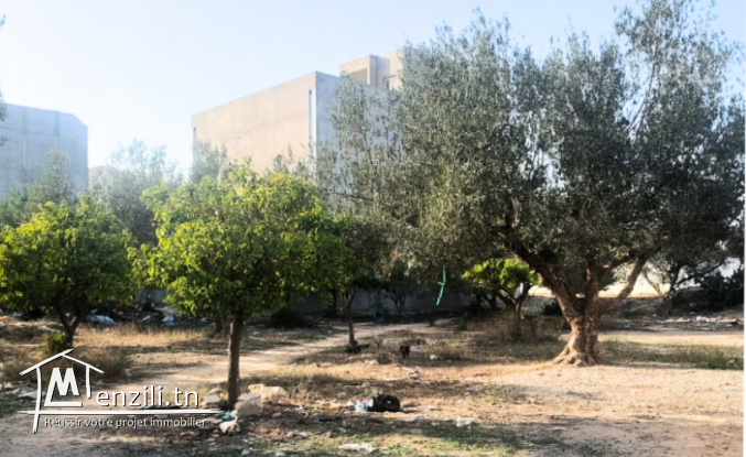 Opportunité terrain à hammamet nord mrezgua